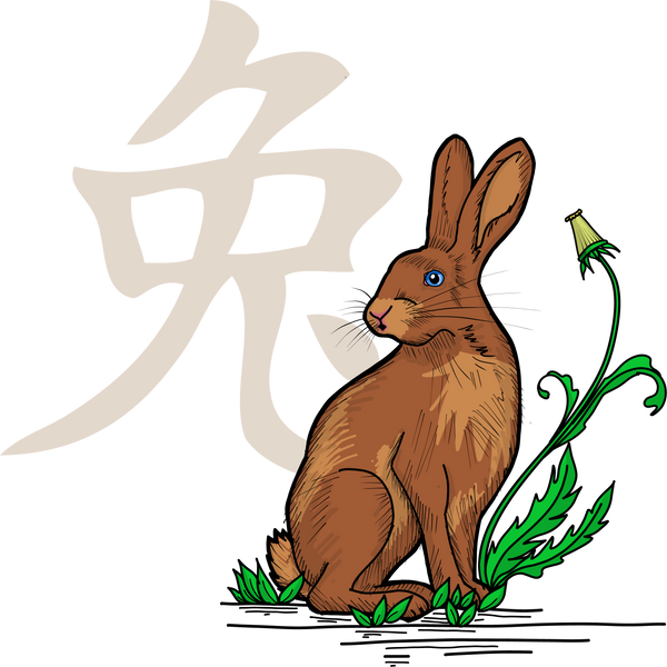 Rabbit Chinese Zodiac - Women's T-Shirt